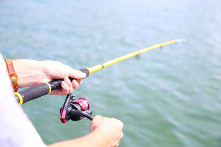 【2021年最新】サビキ釣り・ちょい投げ釣りに併用できるおすすめの竿5選